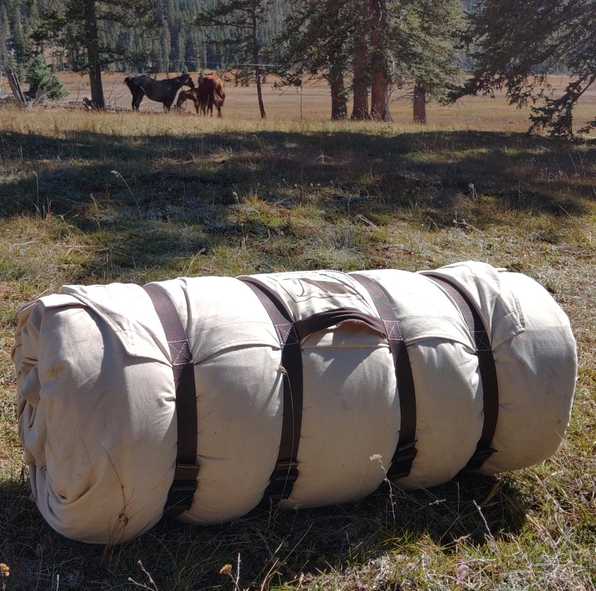 Nap Sak Bedroll image 9