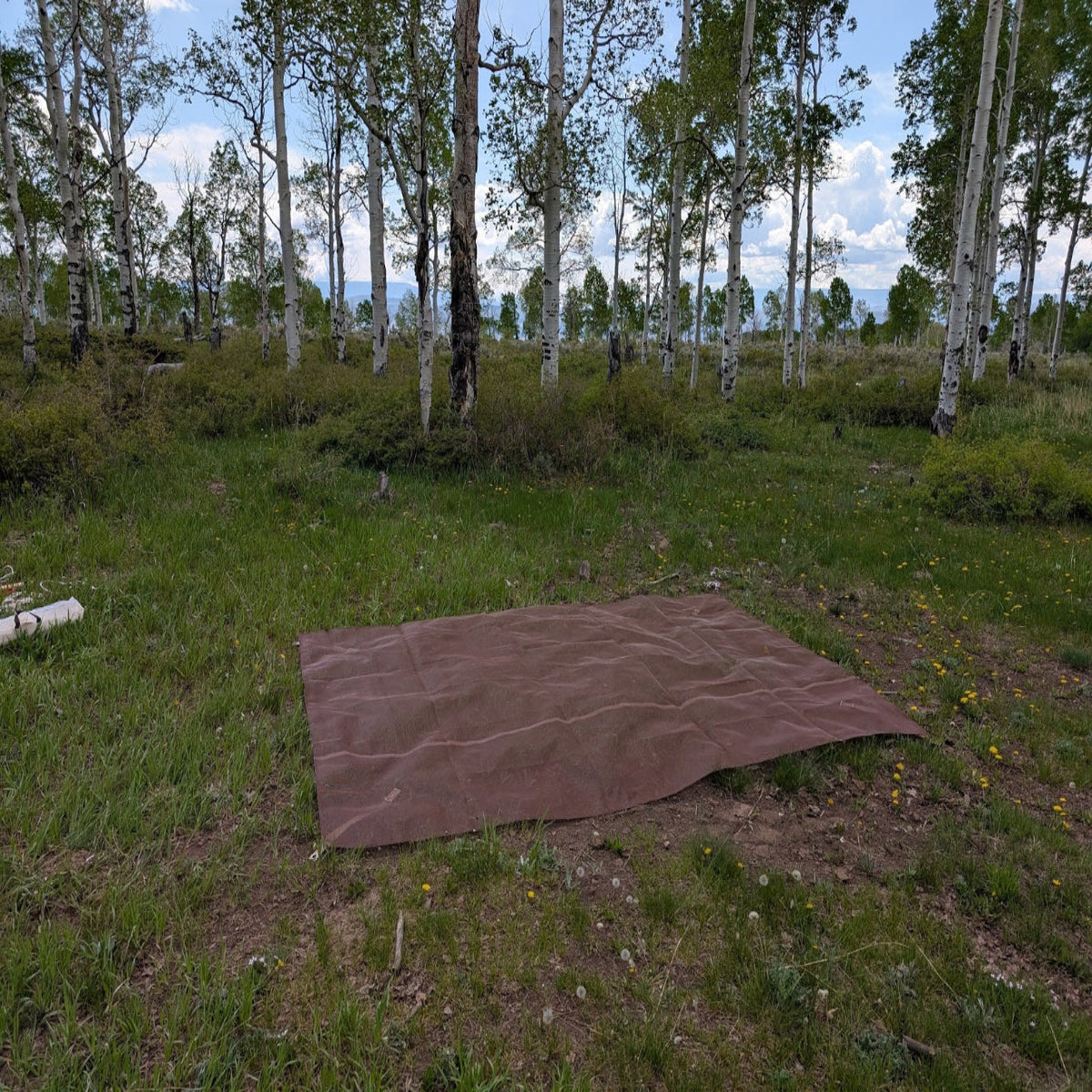 A brown rectangular camping mat laid out on a grassy clearing surrounded by birch trees under a blue sky.
